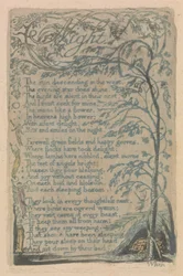 Lieder der Unschuld und der Erfahrung, Platte 30, Nacht (Bentley 20)
